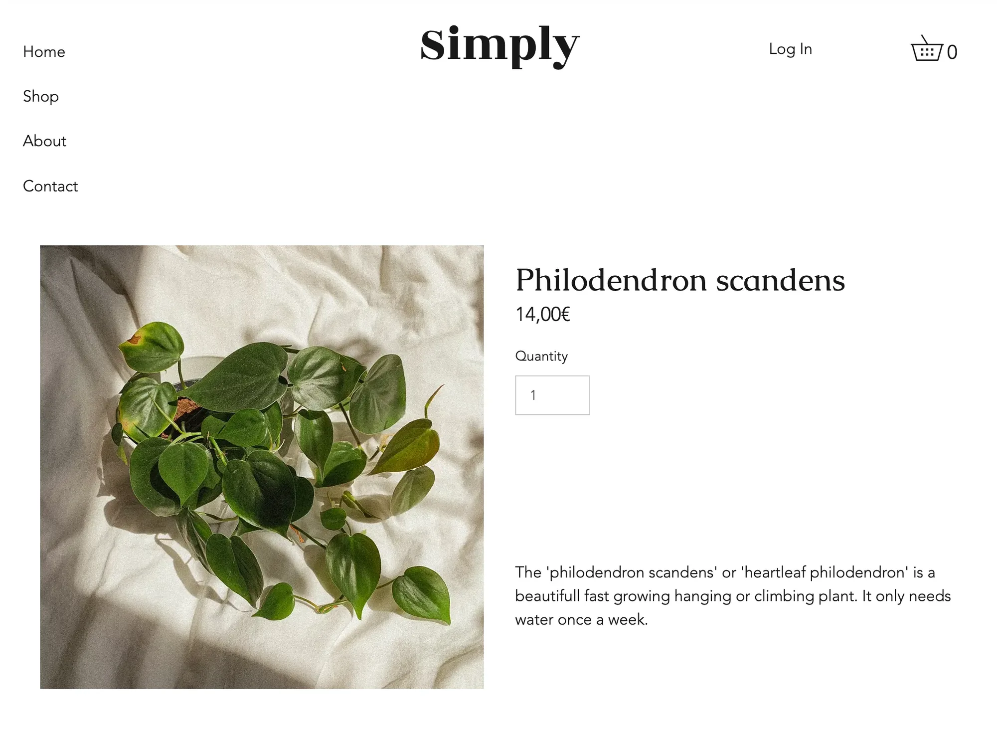 E-commerce Editor-X – visual 2